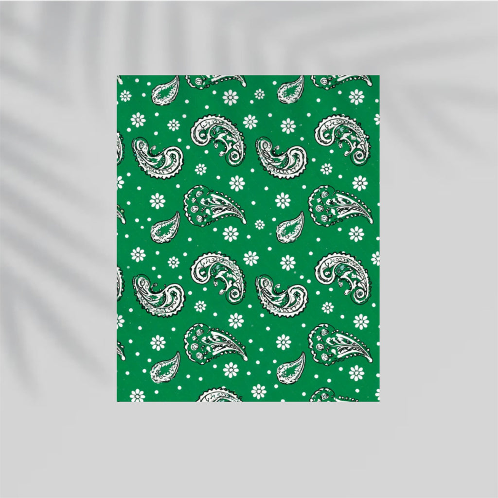 Emerald Paisley Paper Poster