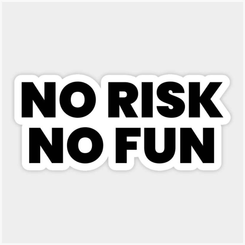 no risk no fun Laptop Sticker