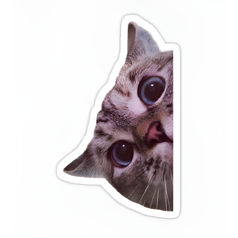 cat 2 Laptop Sticker