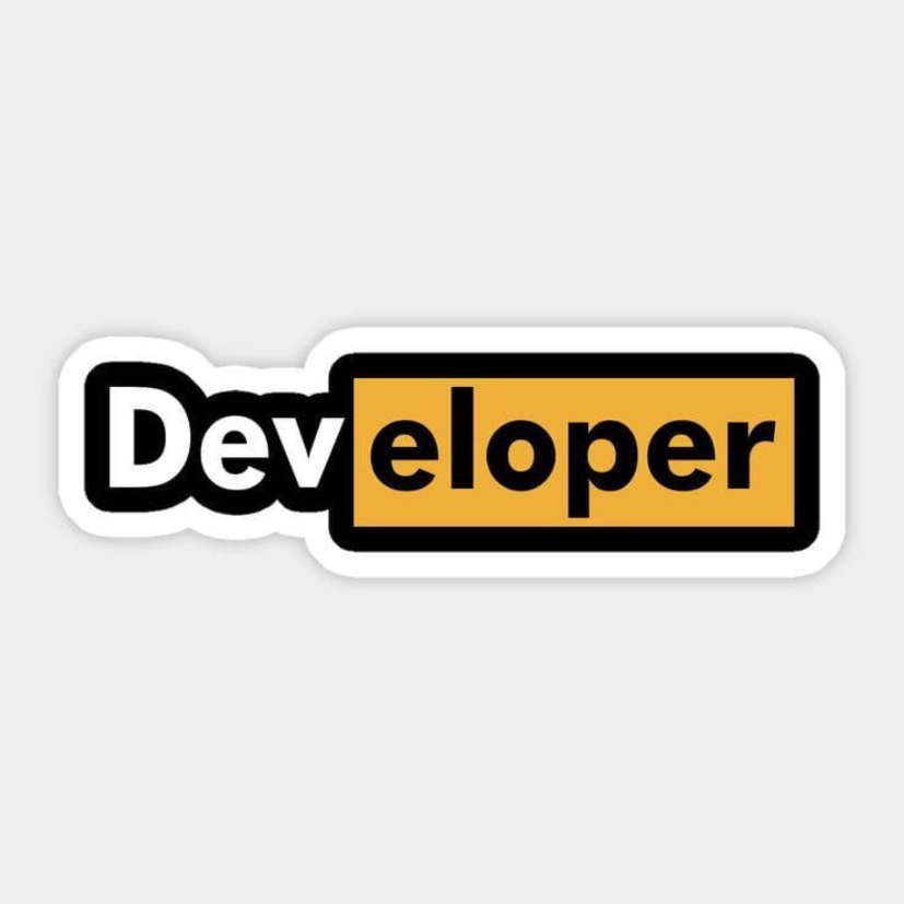 developer Laptop Sticker