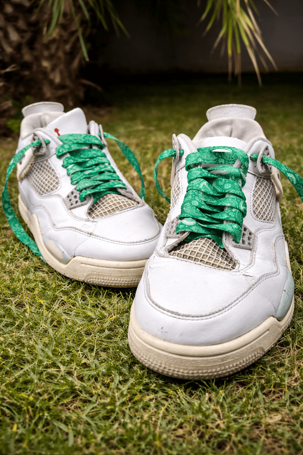Emerald Paisley Shoe Laces