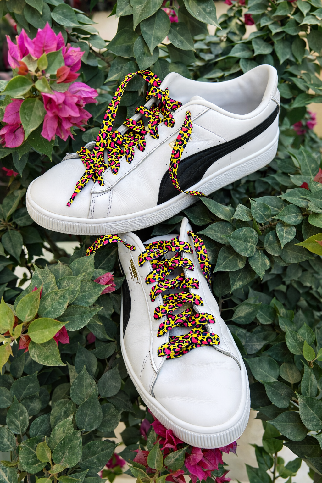 Jungle Pop Shoe Laces